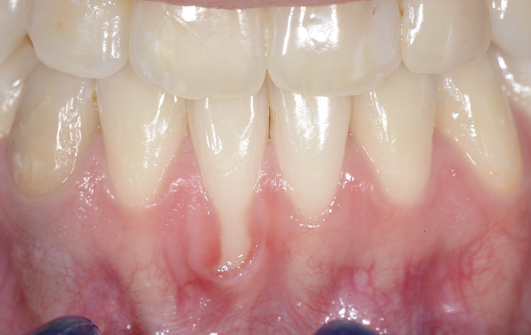 73644 170131_servizi