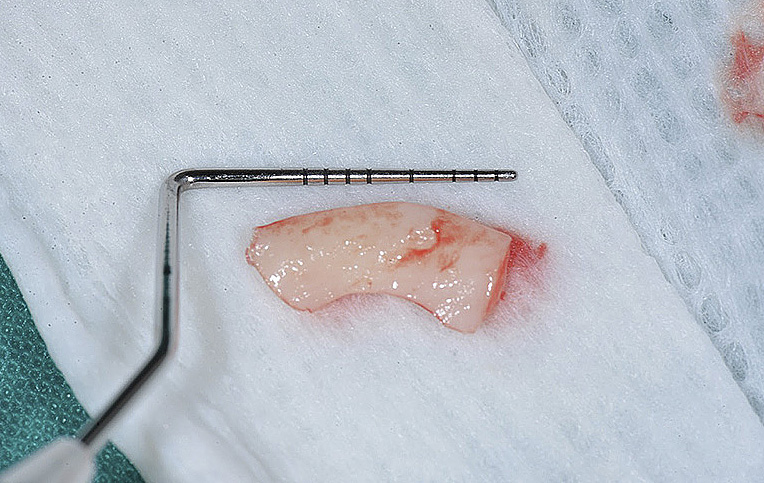 73644 170131_servizi